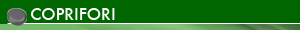 COPRIFORO