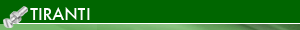 TIRANTE